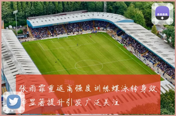 张雨霏重返高强度训练蝶泳转身效率显著提升引发广泛关注